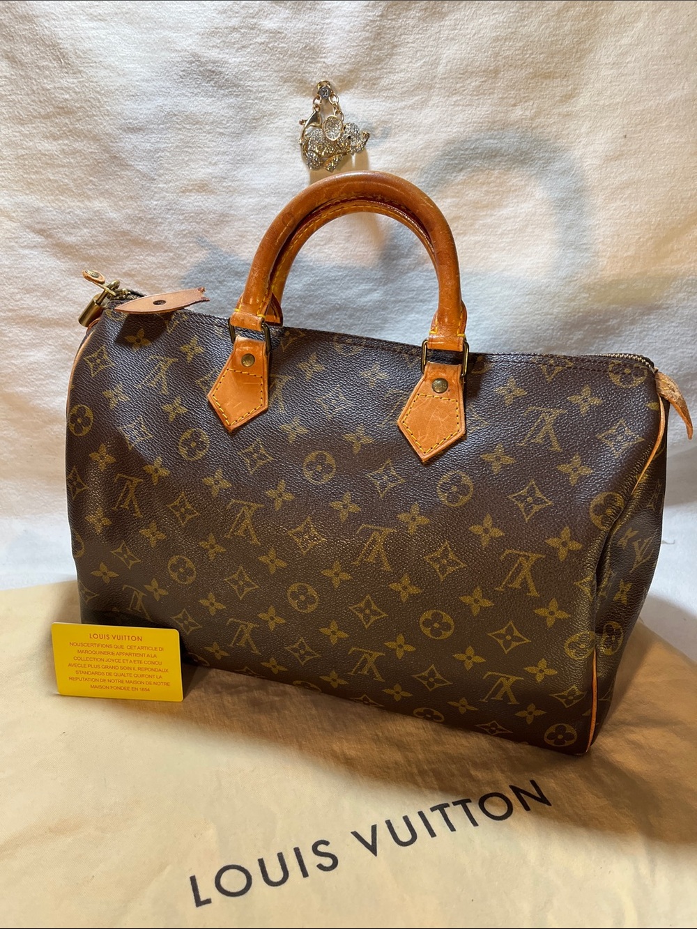 Louis Vuitton Speedy 35